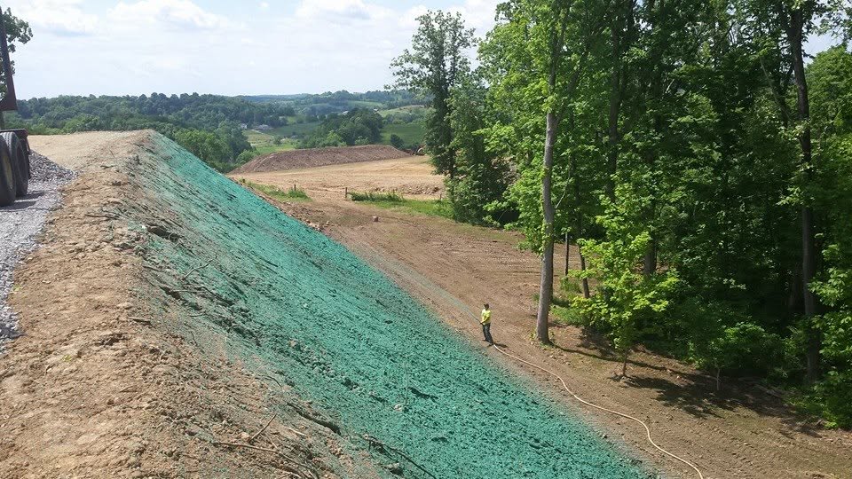 Steep wooded slope fully green after hydroseeding
