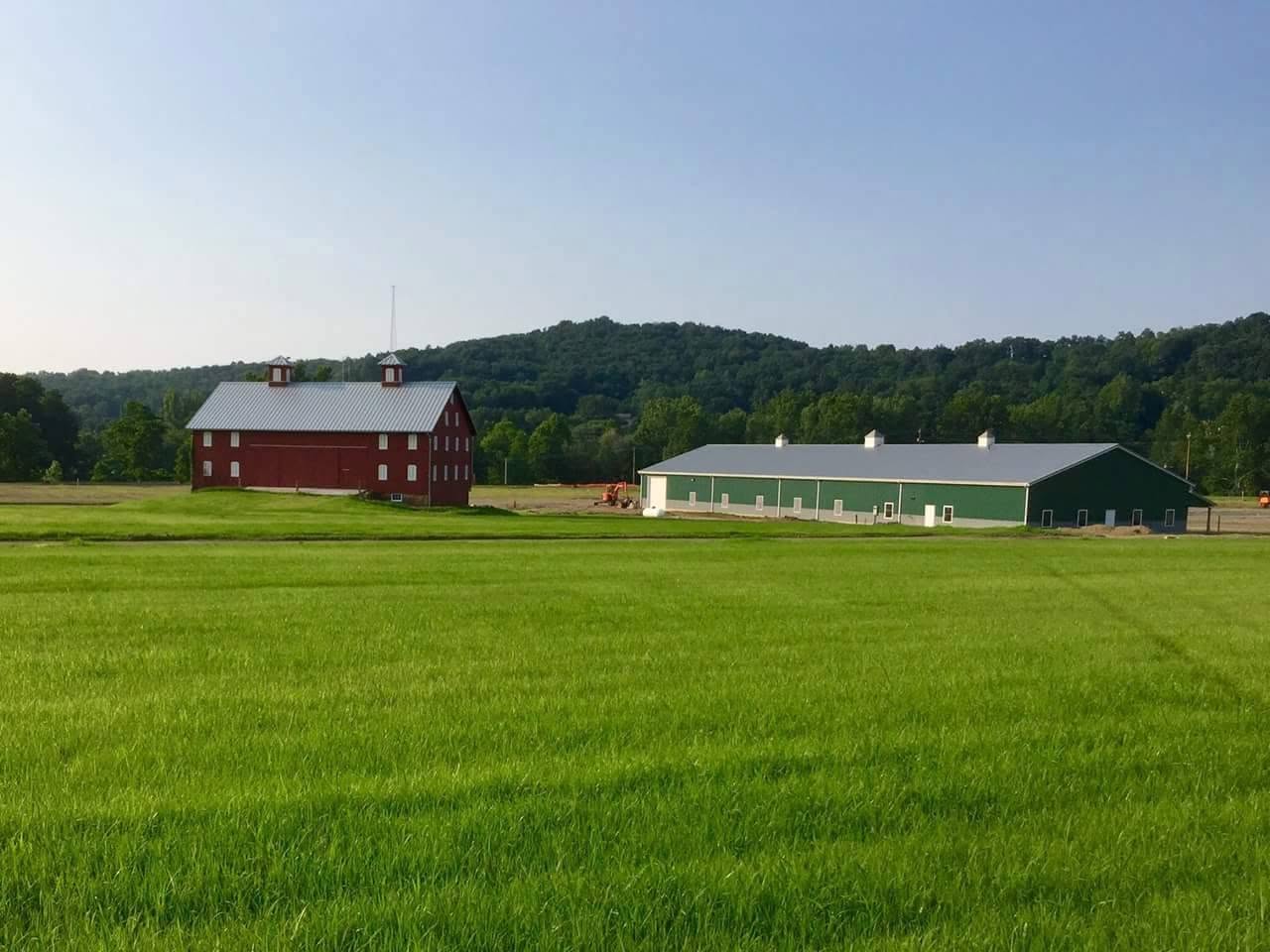 Thick, even, established green field