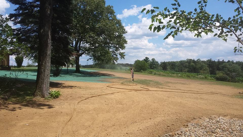 Crew member hand-watering a newly seeded area